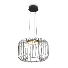 Подвесной светильник Citrus, FR5398PL-L8B