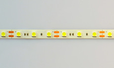 Светодиодная лента KS-5050-12v-14,4-60-6000K-IP20, LEDRUS