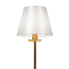 Настольный светильник Forte FR1006TL-01N