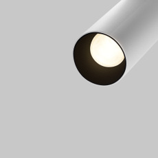 Трековый светильник Focus Led Exility 2700-6000K 5Вт 36° Dim Dali2, TR032-4-5WTW-M-DD2-W