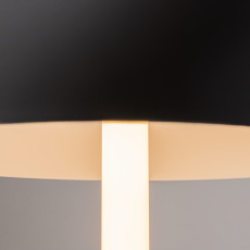 Настольная лампа Maytoni Ray Z012TL-L8B3K