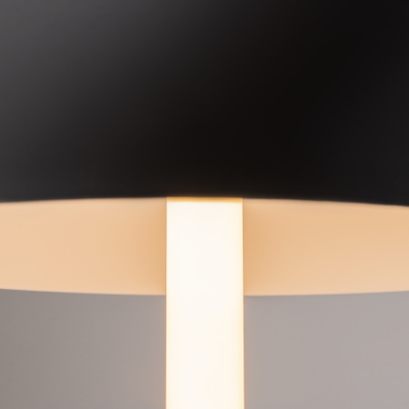 Настольная лампа Maytoni Ray Z012TL-L8B3K