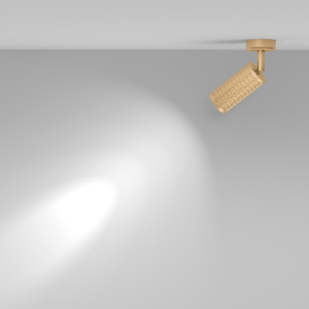 Потолочный светильник Focus Design C034CL-01G