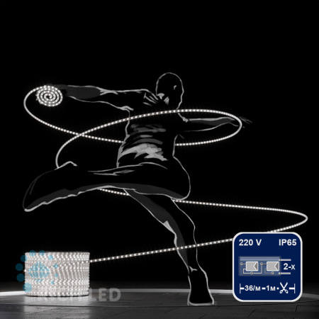 Светодиодный дюралайт Rich LED, 2-х проводной, белый, кратность резки 1 метр, диаметр 13 мм, 220 В, 100 м. RL-DL-2WH-100-240-W