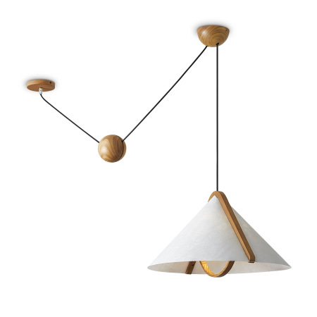 Потолочный светильник Umbra, FR5554CL-01T