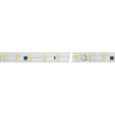 Светодиодная лента ARL-PV-B54-15.5mm 230V White6000 (8 W/m, IP65, 5060, 50m) (Arlight, 8 Вт/м, IP65)027056(2)