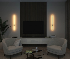 Настенный светильник  Denkirs DK5014-BK