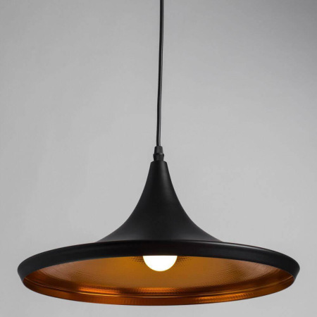 Светильник Arte Lamp CAPPELLO A3406SP-1BK