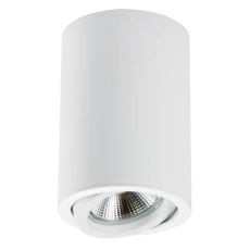 Светильник точечный накладной декоративный под заменяемые галогенные или LED лампы Rullo 214406