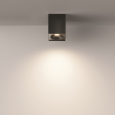 Потолочный светильник Zoom C030CL-01B