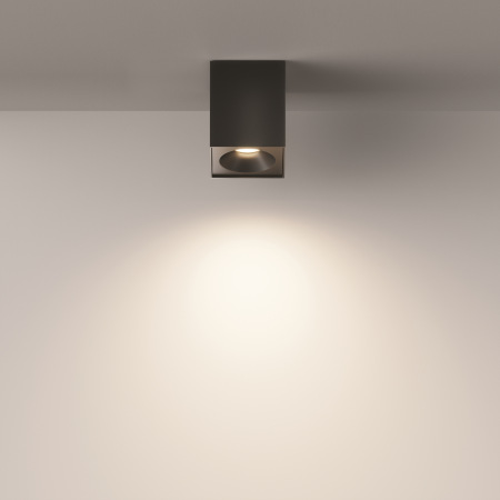 Потолочный светильник Zoom C030CL-01B