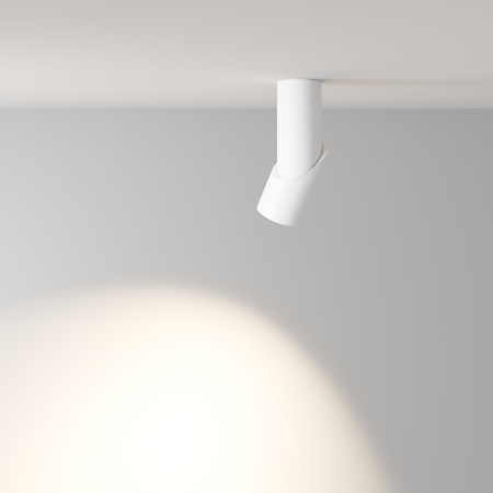 Потолочный светильник Dafne 4000K 1x10Вт 38° C027CL-L10W4K