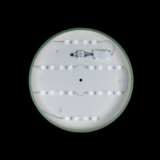 Потолочный светодиодный светильник Loft IT Axel 10003/24 green