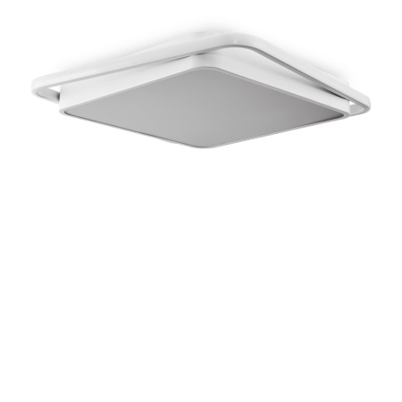 Потолочный светильник, FR10030CL-L88W