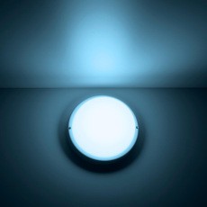 Потолочный светодиодный светильник Gauss Сауна 126411312
