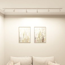 Трековый светильник Denkirs DK6050-WH