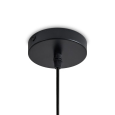 Подвесной светильник Lotus FR5551PL-01M1