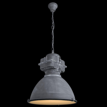 Подвесной светильник Arte Lamp Loft A5014SP-1BG