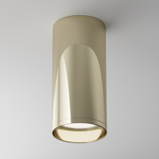 Потолочный светильник Focus C010CL-01G