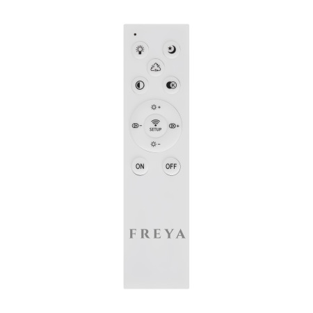 Потолочный светильник, FR10031CL-L98W