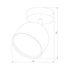 Спот TK Lighting 3414 Altea White