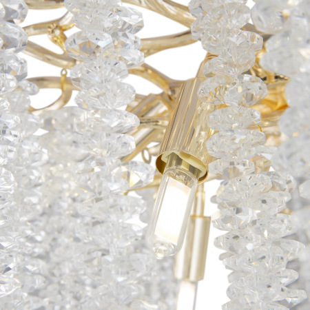 Потолочный светильник Freya FR1010CL-06G