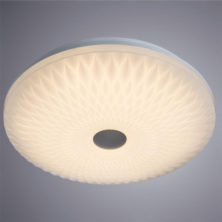 Потолочный светодиодный светильник Arte Lamp A2460PL-1WH