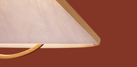 Потолочный светильник Umbra, FR5554CL-01T