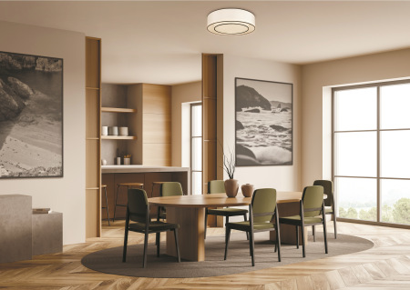 Потолочный светильник Bergamo E27х3 60Вт, MOD613CL-03W