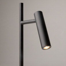 Торшер Maytoni Estudo Z010FL-L8B3K