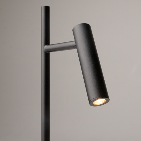 Торшер Maytoni Estudo Z010FL-L8B3K