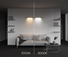 Светильник Basis для штанговой системы освещения Axity 3000-6000К 12Вт 120°, C100CL-L500-12W3-6K-BS