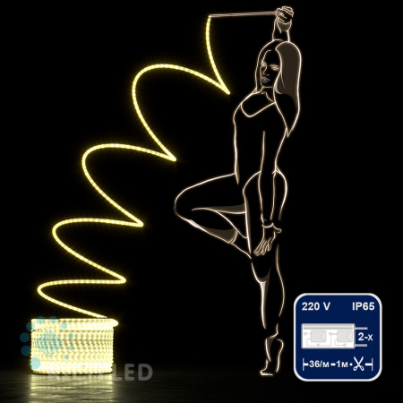 Светодиодный дюралайт Rich LED, 2-х проводной, матовый, теплый белый, кратность резки 1 метр, диаметр 13 мм, 220 В,100 м. RL-DL-2WHM-100-240-WW
