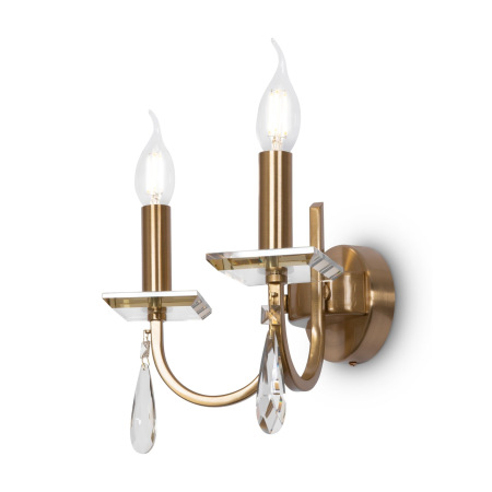 Настенный светильник (бра) Forte FR1006WL-02G