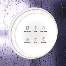 Светодиодная лента 12В 5050 14,4Вт/м 6000K 5м IP65, 10133