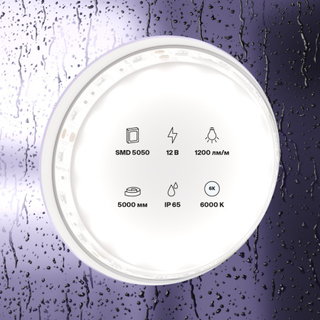 Светодиодная лента 12В 5050 14,4Вт/м 6000K 5м IP65, 10133