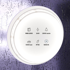 Светодиодная лента 24В 2835 20Вт/м 6000K 5м IP65, 10159