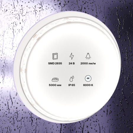 Светодиодная лента 24В 2835 20Вт/м 6000K 5м IP65, 10159
