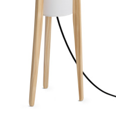 Напольный светильник (торшер) Bliss, FR5543FL-01T