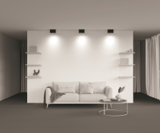 Потолочный светильник Atom GU10 2x50Вт C017CL-02B