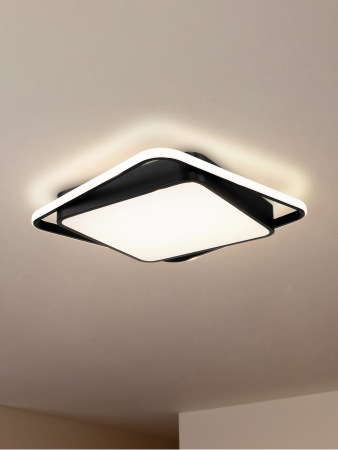 Потолочный светильник, FR10030CL-L88B