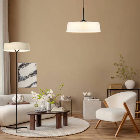 Подвесной светильник Vabi, FR6132PL-L15B