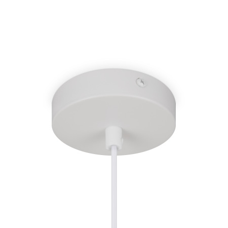 Подвесной светильник Freya FR5392PL-01W