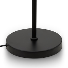 Напольный светильник (торшер) Evidence, FR5372FL-03B