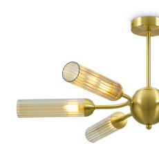 Потолочный светильник Borgy, FR5379CL-06G