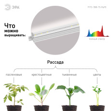 Светильник для растений, фитолампа светодиодная линейная ЭРА FITO-18W-T5-Ra90 полного спектра 18 Вт Т5