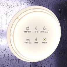 Светодиодная лента 24В 2835 20Вт/м 4000K 5м IP65, 10158