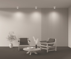 Потолочный светильник Planet C009CW-L12W