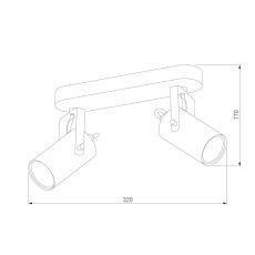 Спот TK Lighting 2798 Redo Black Gold