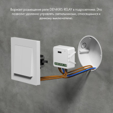 Wi-Fi реле Denkirs RL1001-SM